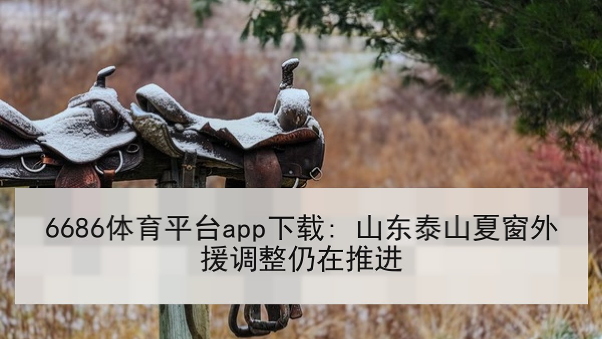 6686体育平台app下载: 山东泰山夏窗外援调整仍在推进 6686体育平台app下载: 山东泰山夏窗外援调整仍在推进